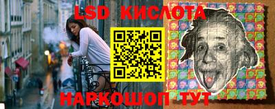 стафф Заводоуковск