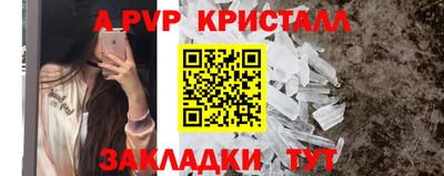 стафф Заводоуковск