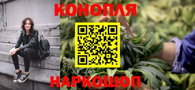 стафф Заводоуковск