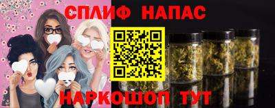 стафф Заводоуковск