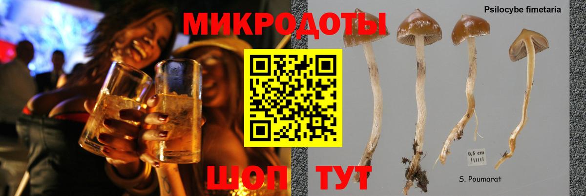 Псилоцибиновые грибы мухоморы  Галлюциногенные грибы MAGIC MUSHROOMS  Вход с VPN  Ликино-Дулёво 
